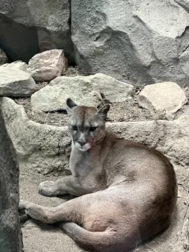 神戸どうぶつ王国に投稿された画像（2022/10/26）