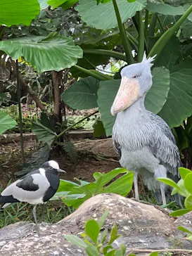 神戸どうぶつ王国に投稿された画像（2022/10/26）