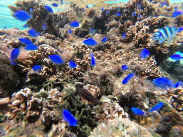 武藤潜水に投稿された画像（2022/10/26）