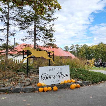 ノーザンホースパークに投稿された画像（2022/10/26）