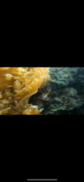 武藤潜水に投稿された画像（2022/10/26）