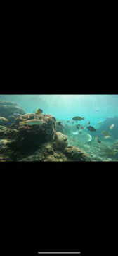 武藤潜水に投稿された画像（2022/10/26）