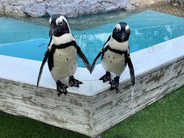 マリンワールド海の中道に投稿された画像（2022/10/26）