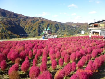 湯沢高原スキー場/パノラマパークに投稿された画像（2022/10/26）