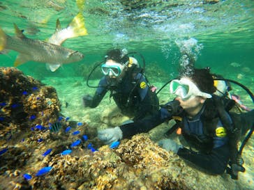 沖縄マリンサービス碧に投稿された画像（2022/10/26）