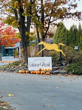 ノーザンホースパークに投稿された画像（2022/10/26）