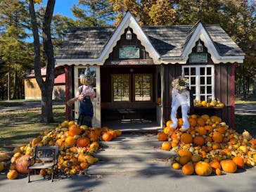 ノーザンホースパークに投稿された画像（2022/10/26）