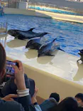 マリンワールド海の中道に投稿された画像（2022/10/26）