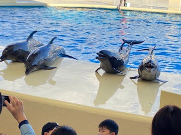 マリンワールド海の中道に投稿された画像（2022/10/26）