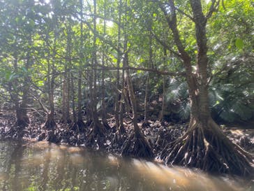 西表島 ADVENTURE PiPi（アドベンチャーピピ）に投稿された画像（2022/10/26）