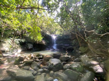 西表島 ADVENTURE PiPi（アドベンチャーピピ）に投稿された画像（2022/10/26）