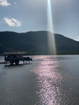 西表島 ADVENTURE PiPi（アドベンチャーピピ）に投稿された画像（2022/10/26）