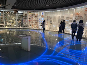 国立科学博物館に投稿された画像（2022/10/26）