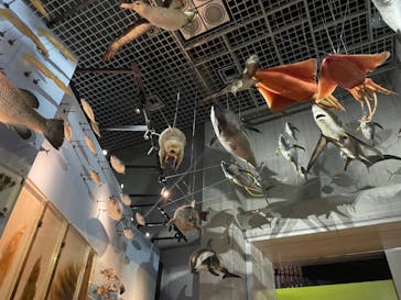 国立科学博物館に投稿された画像（2022/10/26）