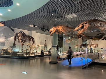 国立科学博物館に投稿された画像（2022/10/26）