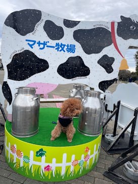 マザー牧場に投稿された画像（2022/10/26）