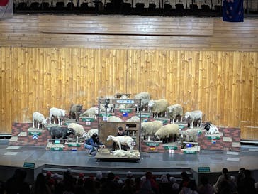 マザー牧場に投稿された画像（2022/10/26）