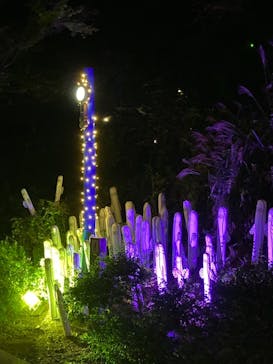 ムーミンバレーパークに投稿された画像（2022/10/26）