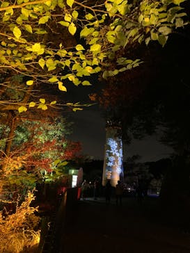 ムーミンバレーパークに投稿された画像（2022/10/26）