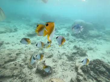 武藤潜水に投稿された画像（2022/10/27）