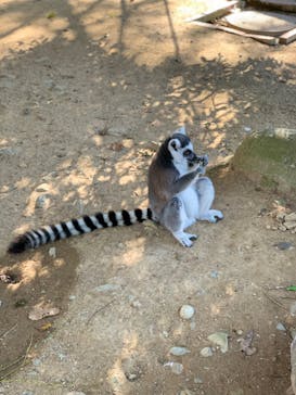 姫路セントラルパークに投稿された画像（2022/10/27）