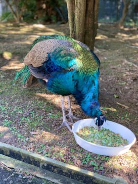 姫路セントラルパークに投稿された画像（2022/10/27）