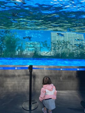 サンシャイン水族館に投稿された画像（2022/10/27）