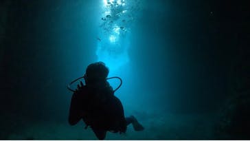 DIVING-SHOP SUNSに投稿された画像（2022/10/27）