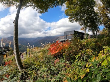 白馬岩岳マウンテンリゾートに投稿された画像（2022/10/27）