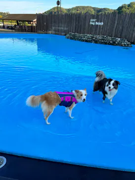 わんダフルネイチャーヴィレッジに投稿された画像（2022/10/27）