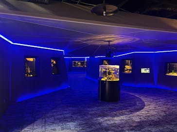 カワスイ 川崎⽔族館に投稿された画像（2022/10/27）