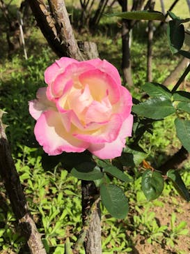 鳩山会館に投稿された画像（2022/10/27）