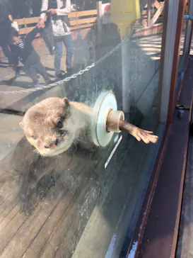 横浜・八景島シーパラダイスに投稿された画像（2022/10/27）