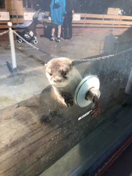 横浜・八景島シーパラダイスに投稿された画像（2022/10/27）