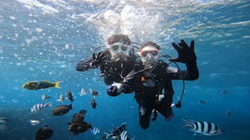 青の洞窟専門店　沖縄ダイビングショップ和に投稿された画像（2022/10/27）