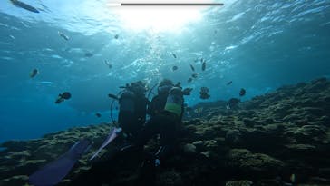 青の洞窟専門店　沖縄ダイビングショップ和に投稿された画像（2022/10/27）