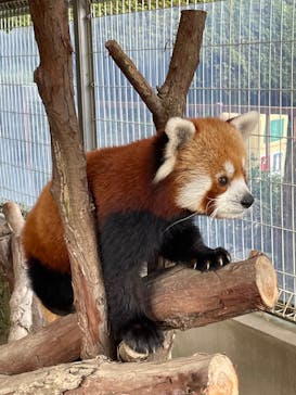 熱川バナナワニ園に投稿された画像（2022/10/28）