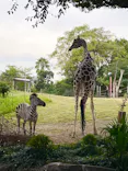 天王寺動物園に投稿された画像（2022/10/28）