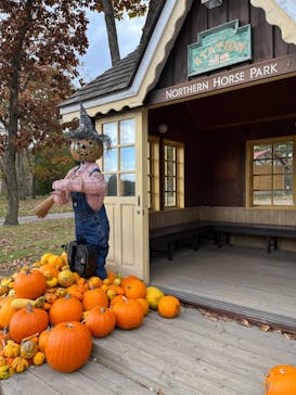 ノーザンホースパークに投稿された画像（2022/10/28）