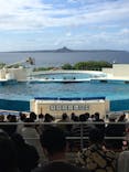 沖縄美ら海水族館に投稿された画像（2022/10/28）