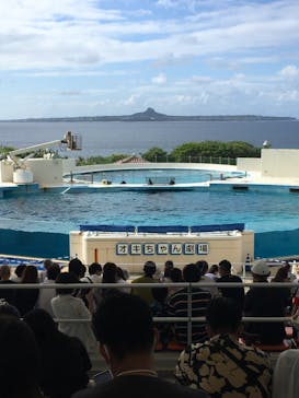 沖縄美ら海水族館に投稿された画像（2022/10/28）