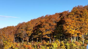 六日町八海山スキー場に投稿された画像（2022/10/28）