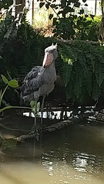 神戸どうぶつ王国に投稿された画像（2022/10/28）