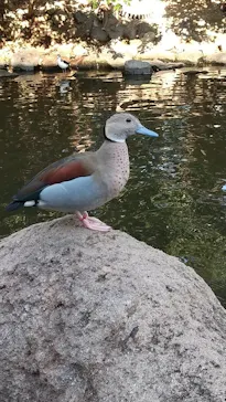 神戸どうぶつ王国に投稿された画像（2022/10/28）