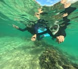 DIVING-SHOP SUNSに投稿された画像（2022/10/28）