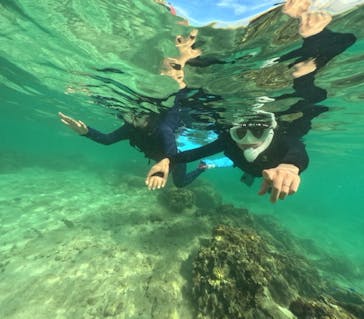 DIVING-SHOP SUNSに投稿された画像（2022/10/28）