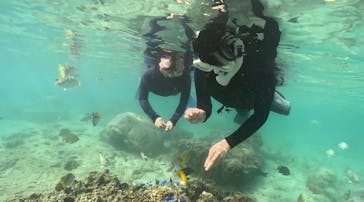 DIVING-SHOP SUNSに投稿された画像（2022/10/28）