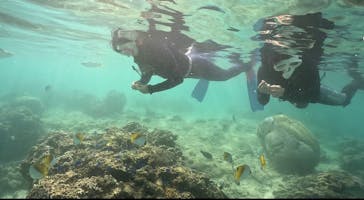 DIVING-SHOP SUNSに投稿された画像（2022/10/28）