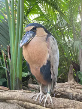 神戸どうぶつ王国に投稿された画像（2022/10/28）