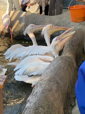 神戸どうぶつ王国に投稿された画像（2022/10/28）